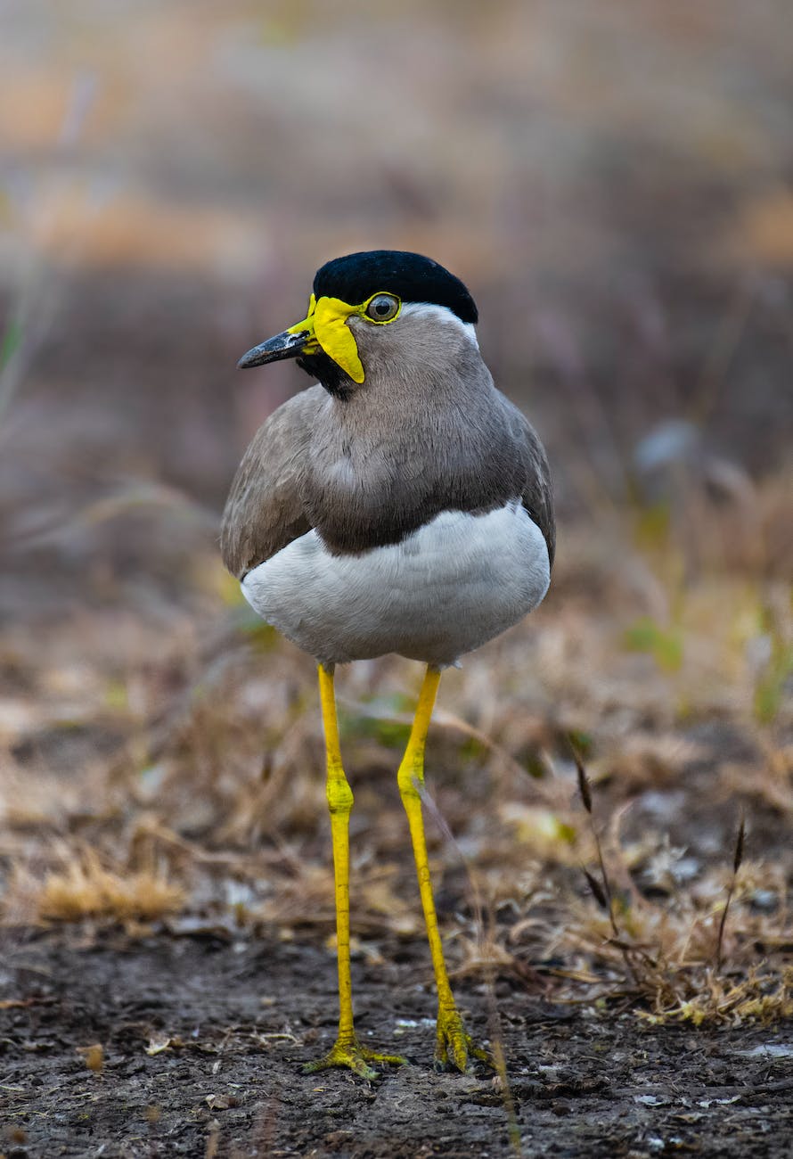 Oh that’s an easy&nbsp;one!