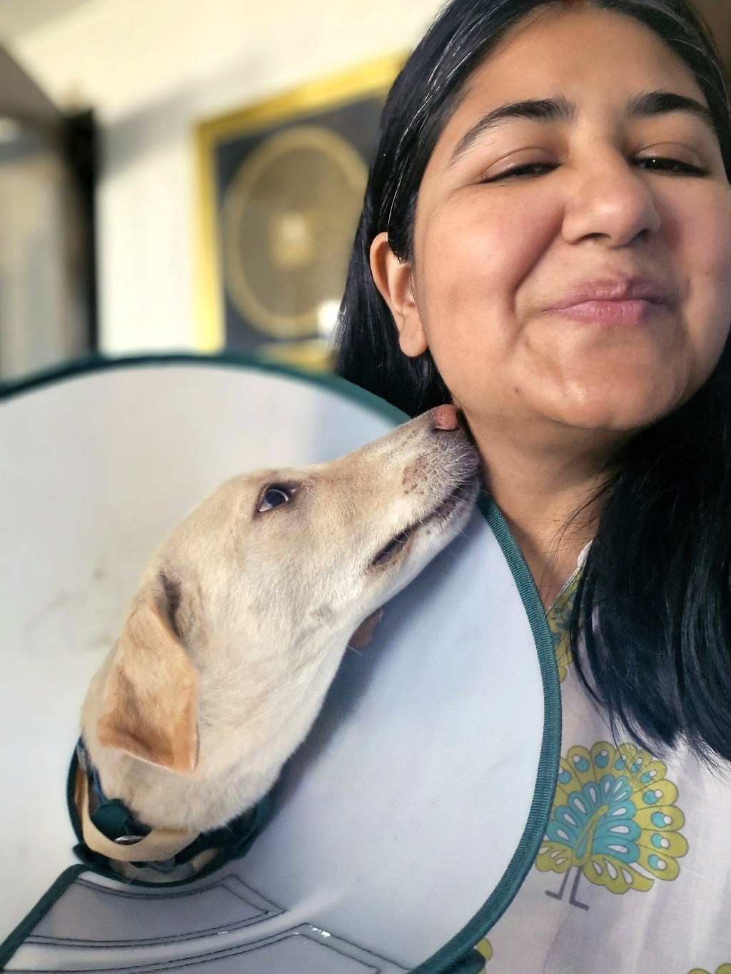 The Love and Loss of Community Dogs: Remembering&nbsp;Goldie